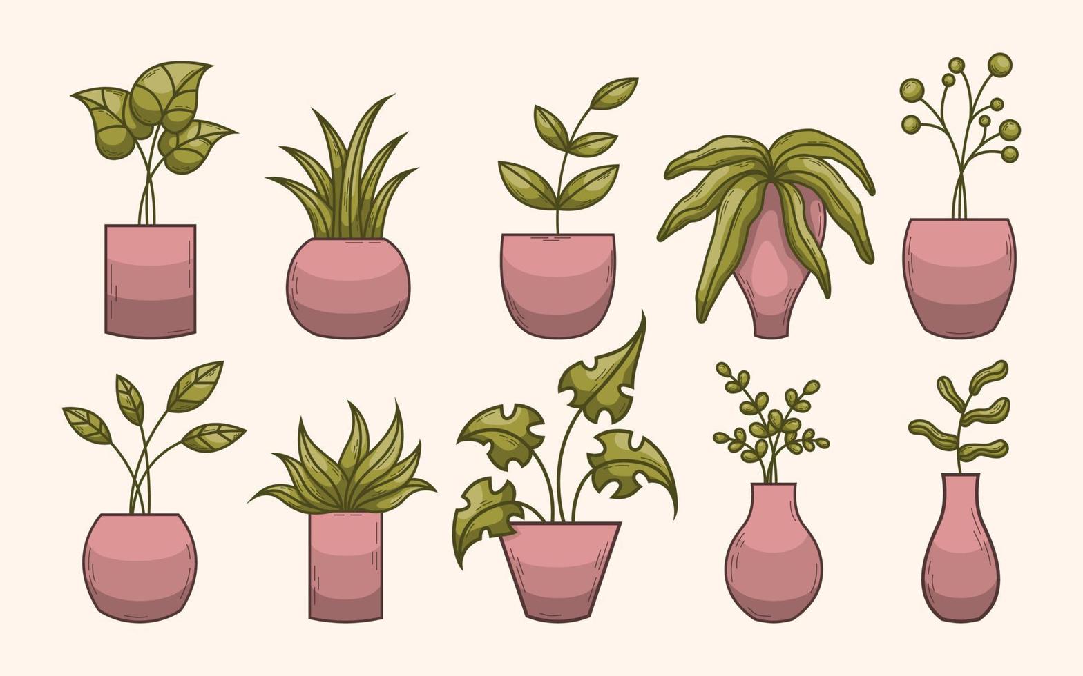 Potted House Plants Collection vector