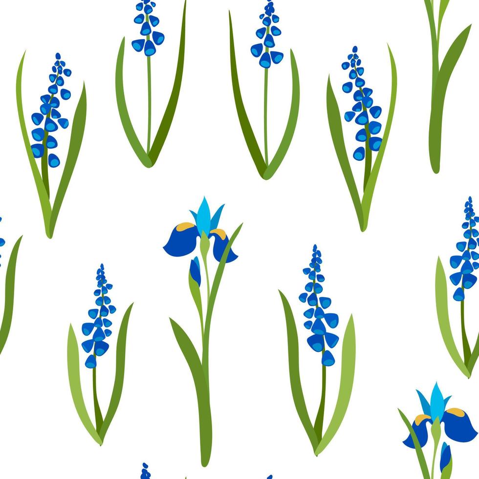 Spring flowers, irises and muscari. seamless garden pattern vector