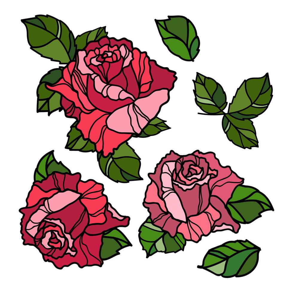 Pink vector roses and green leave elements set isolated on the white background for floral decoration