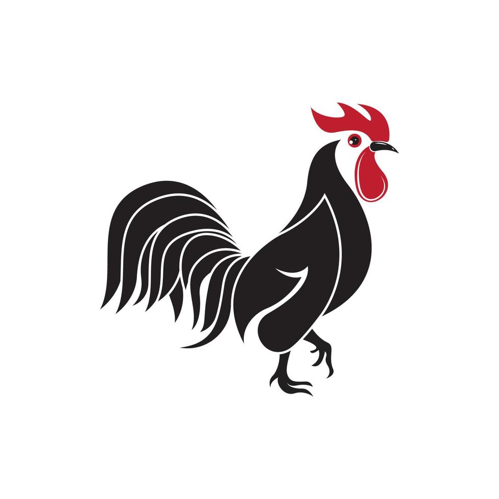 gallo logo icono vector y símbolo modelo