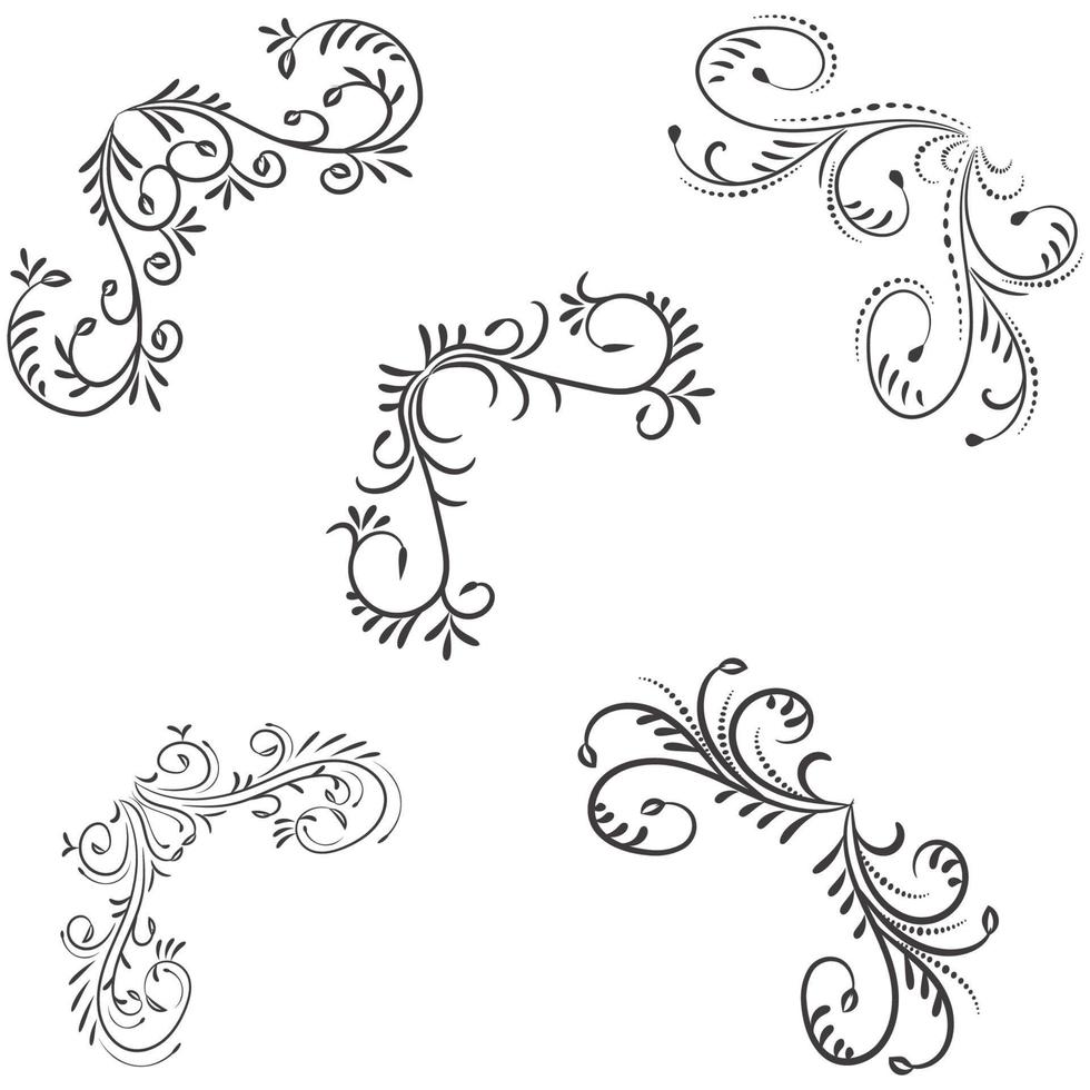 ornamental regla líneas en diferente diseño, decorativo divisores, remolino elementos, vector gráfico elementos para diseño vector elementos