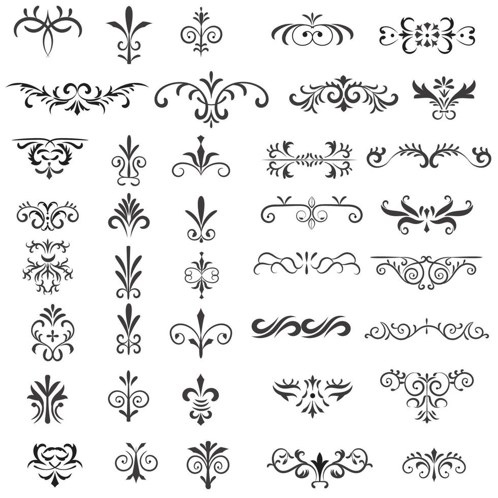 ornamental regla líneas en diferente diseño, decorativo divisores, remolino elementos, vector gráfico elementos para diseño vector elementos