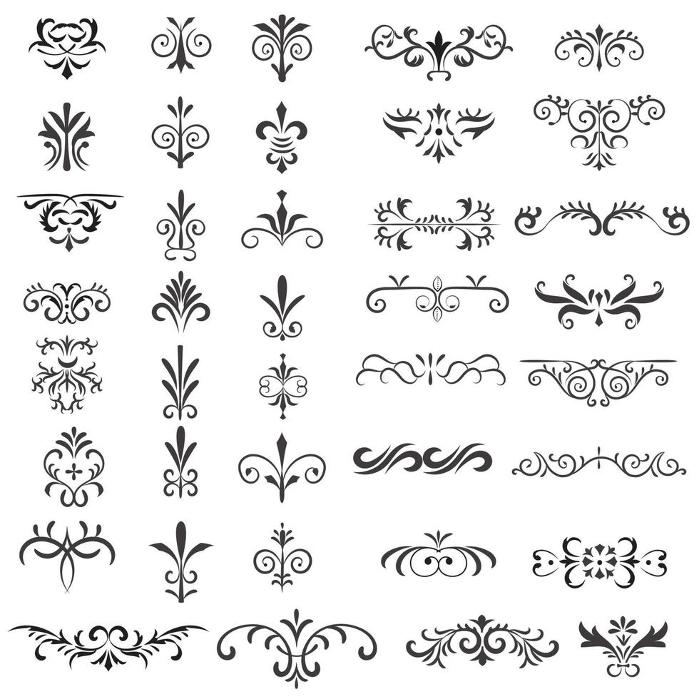 ornamental regla líneas en diferente diseño, decorativo divisores, remolino elementos, vector gráfico elementos para diseño vector elementos