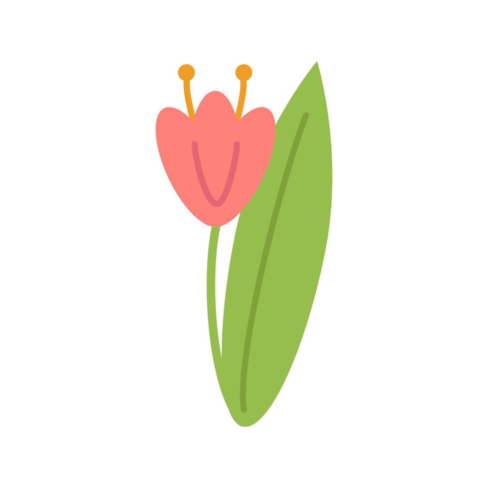 Red tulip on a green stem with leaves isolated on a white background. Template for greeting cards, banners for Valentine's Day, March 8, Birthday, wedding. Vector illustration. Cartoon style