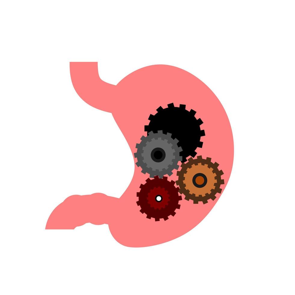 stomach. gastric disease. stomach ache. digestive process. gastric bacteria. gerd vector