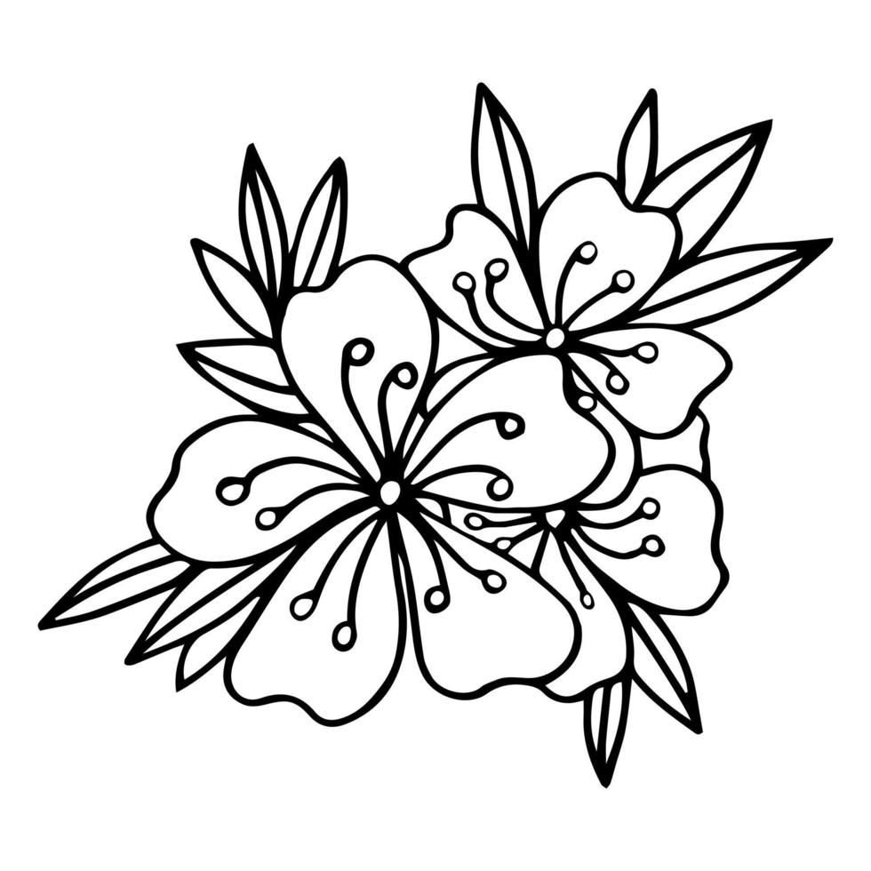 Sakura flowers blossom set, hand drawn line ink style. Cure doodle cherry plant vector illustration, black isolated on white background. Realistic floral bloom for spring japanese or chinese holiday.
