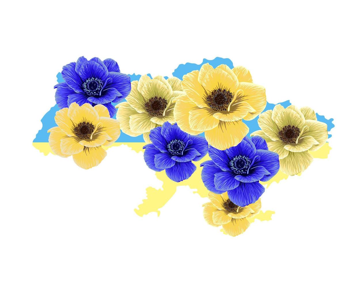 Ukraine map outline with yellow and blue anemone flowers. outline of Ukraine in national colors. vector patriotic illustration