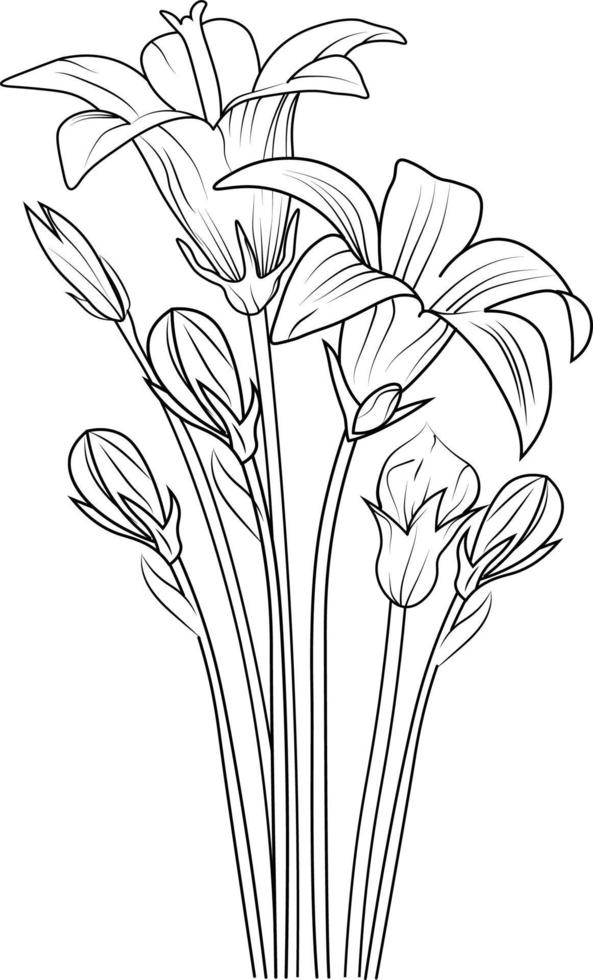 Flower cluster drawing, illustration sketch of hand-drawn flowers isolated on white. spring bellflower and ink art style, botanical garden, vector