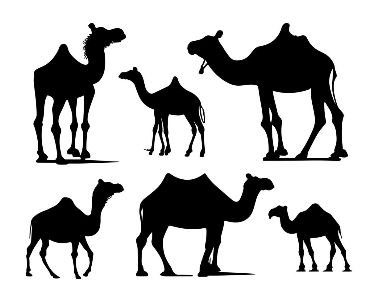 Camel silhouette black logo animals silhouettes icons camel riders desert palm silhouette vector illustration