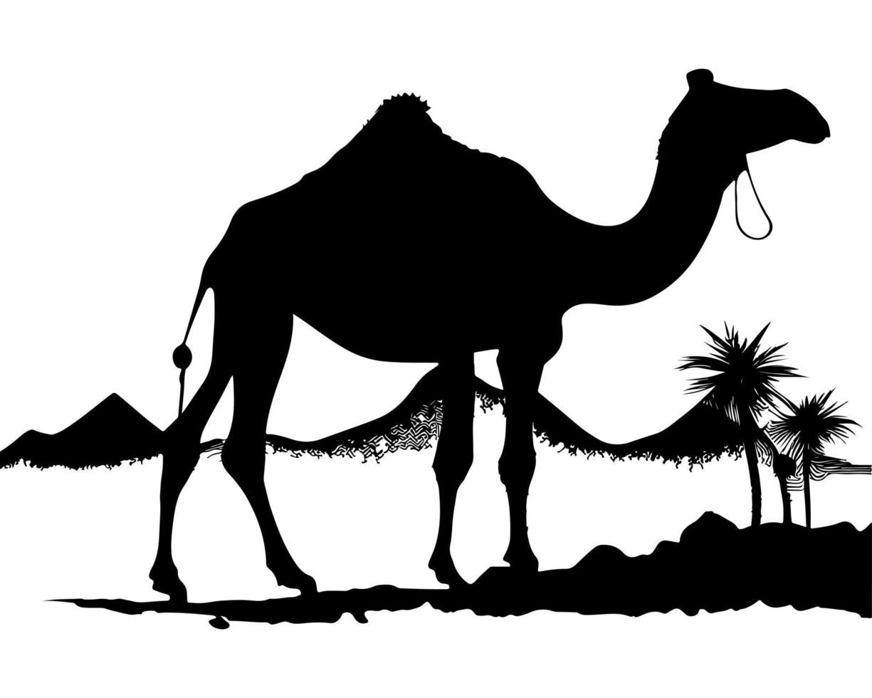 Camel silhouette black logo animals silhouettes icons camel riders desert palm silhouette vector illustration