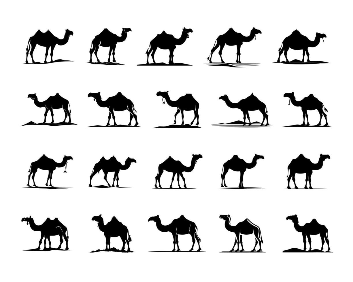 Camel silhouette set black logo animals silhouettes icons camel riders desert palm silhouette vector illustration