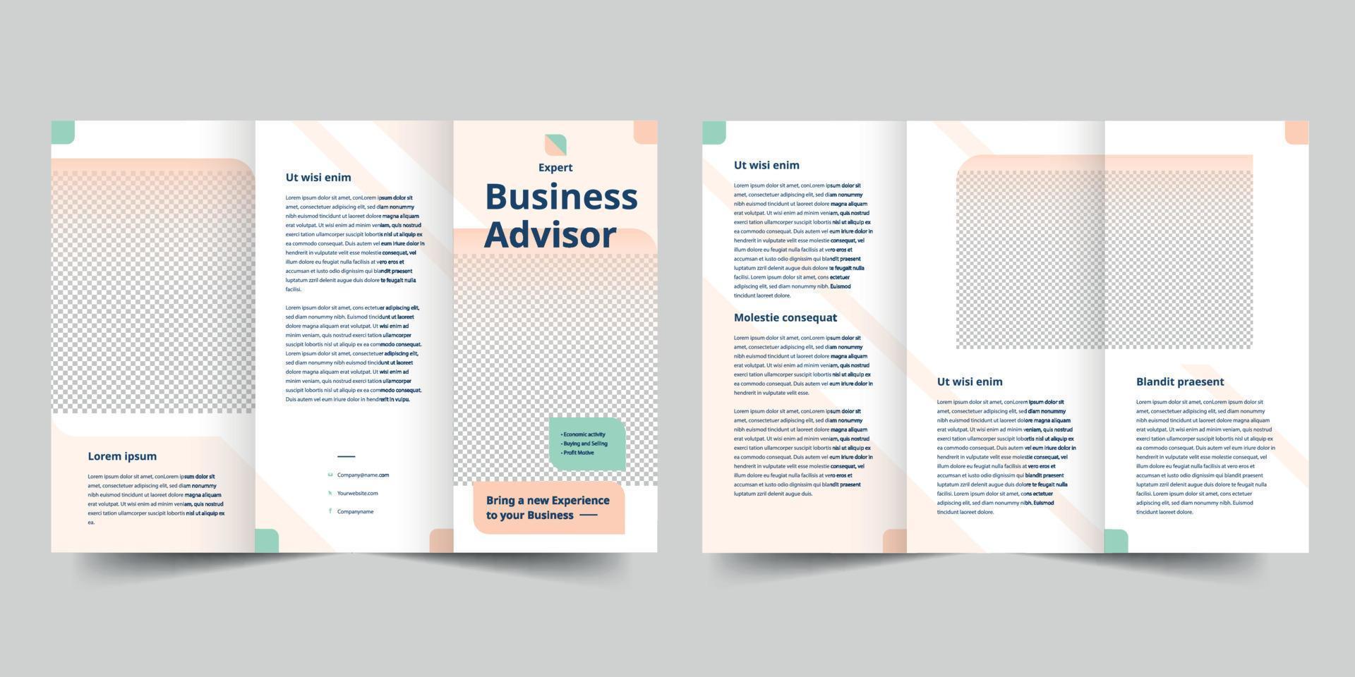 Business Advisor trifold brochure template, Trifold Brochure Accountancy Firm flyer vector layout Trifold mockup Pro Vector