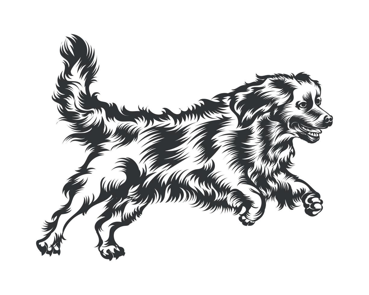 bernés montaña perro vector ilustración, perro vector negro en blanco antecedentes