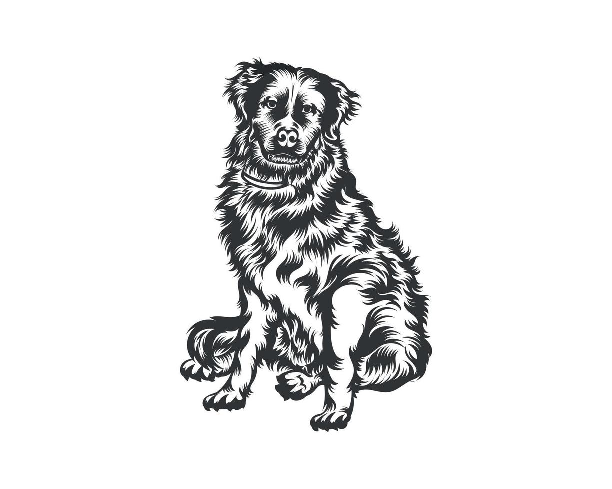 Bernese Mountain Dog Vector Illustration, Dog Vector Black on White Background