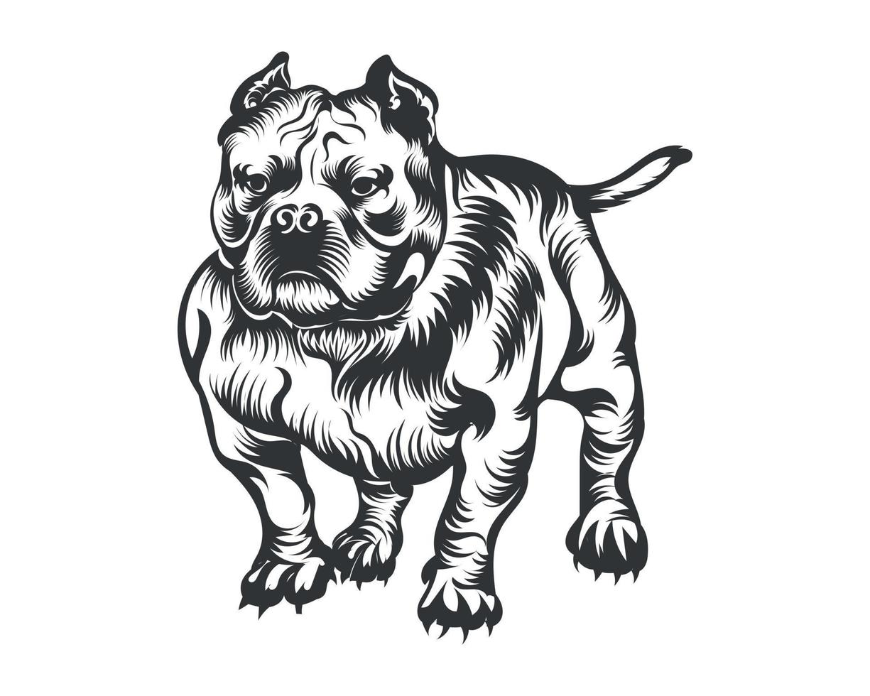 americano matón perro vector ilustración, matón perro vector negro en blanco antecedentes