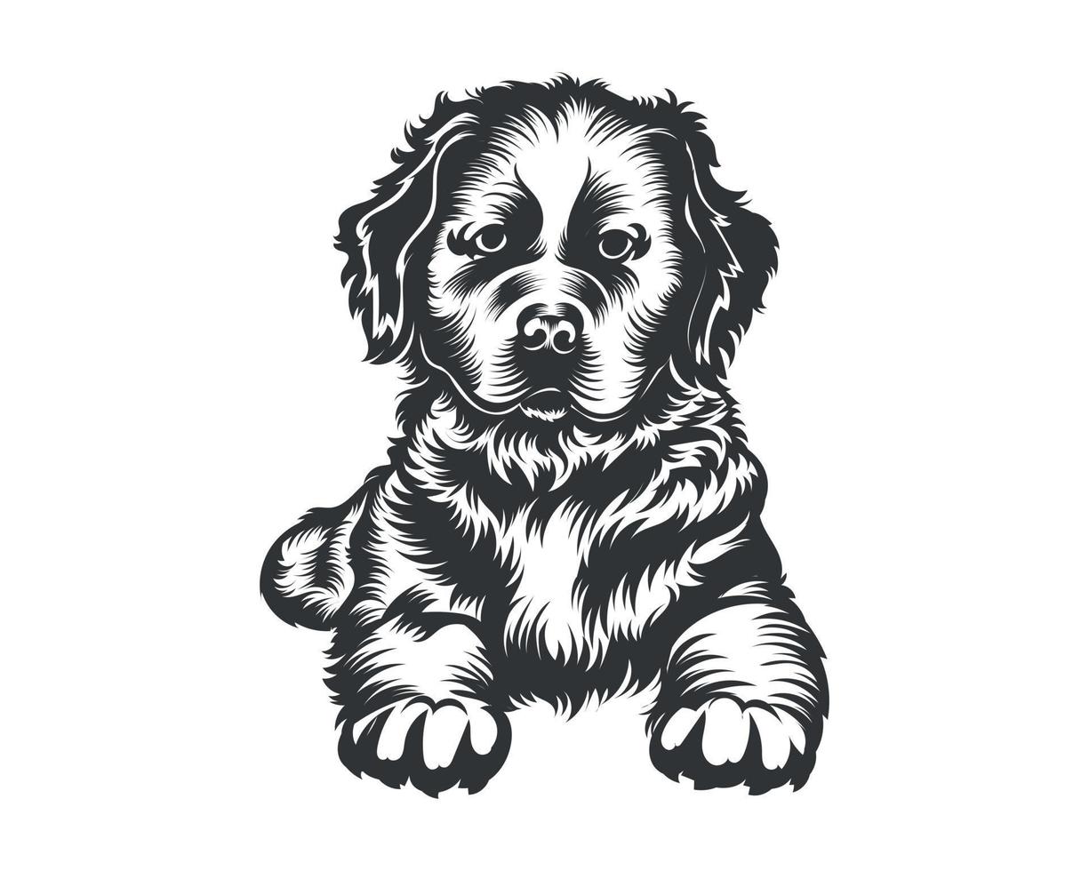 Bernese Mountain Dog Vector Illustration, Dog Vector Black on White Background