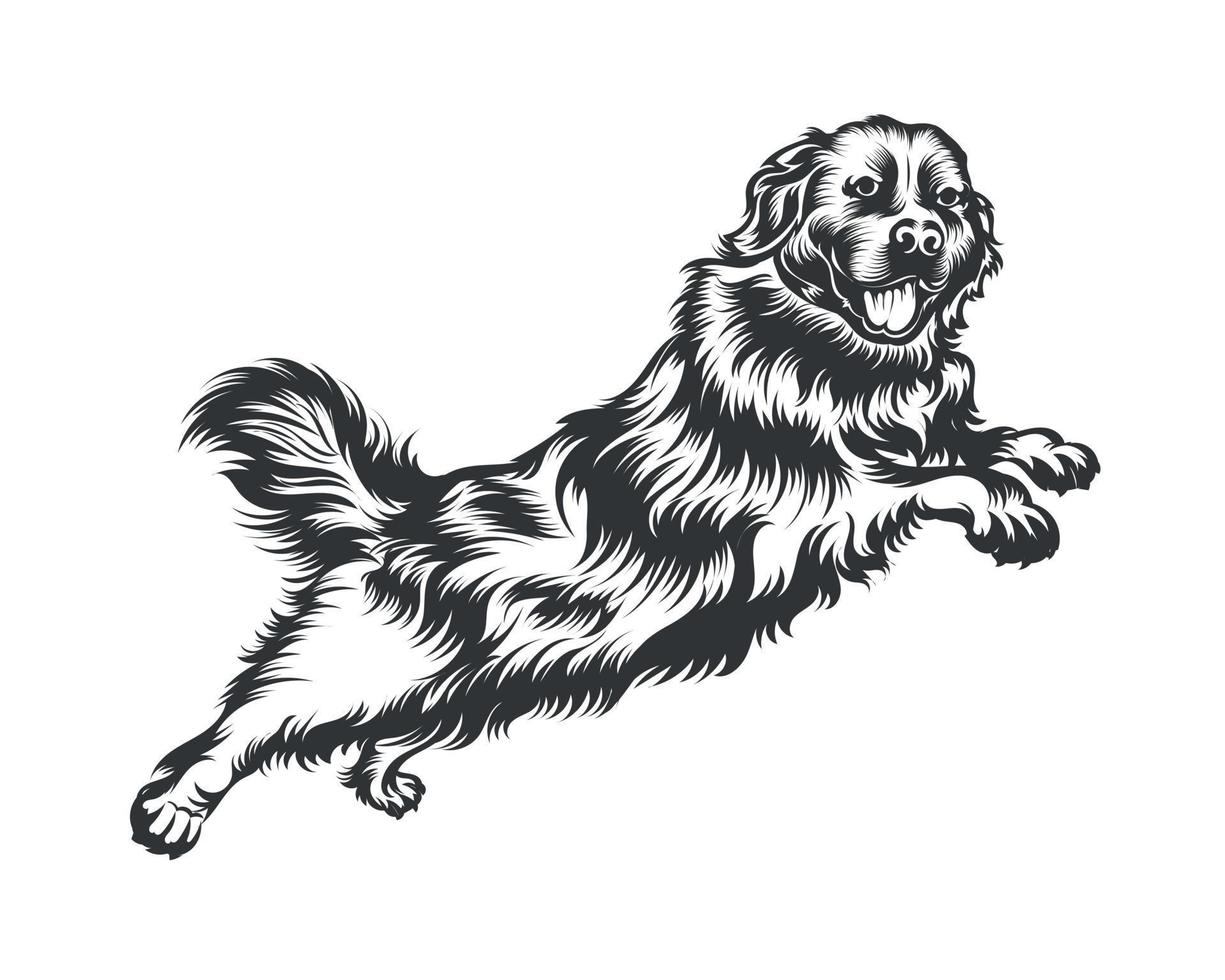 Bernese Mountain Dog Vector Illustration, Dog Vector Black on White Background