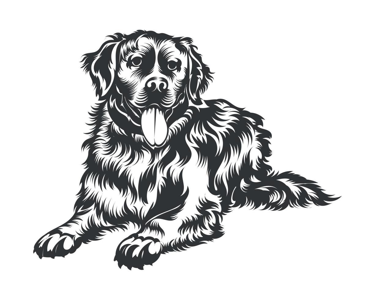 bernés montaña perro vector ilustración, perro vector negro en blanco antecedentes