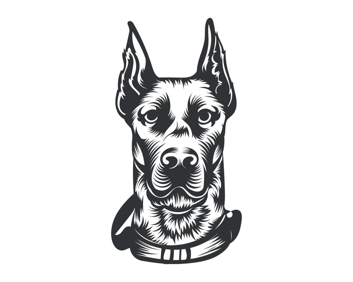 Dobermann Dog Breed Vector Illustration White Background