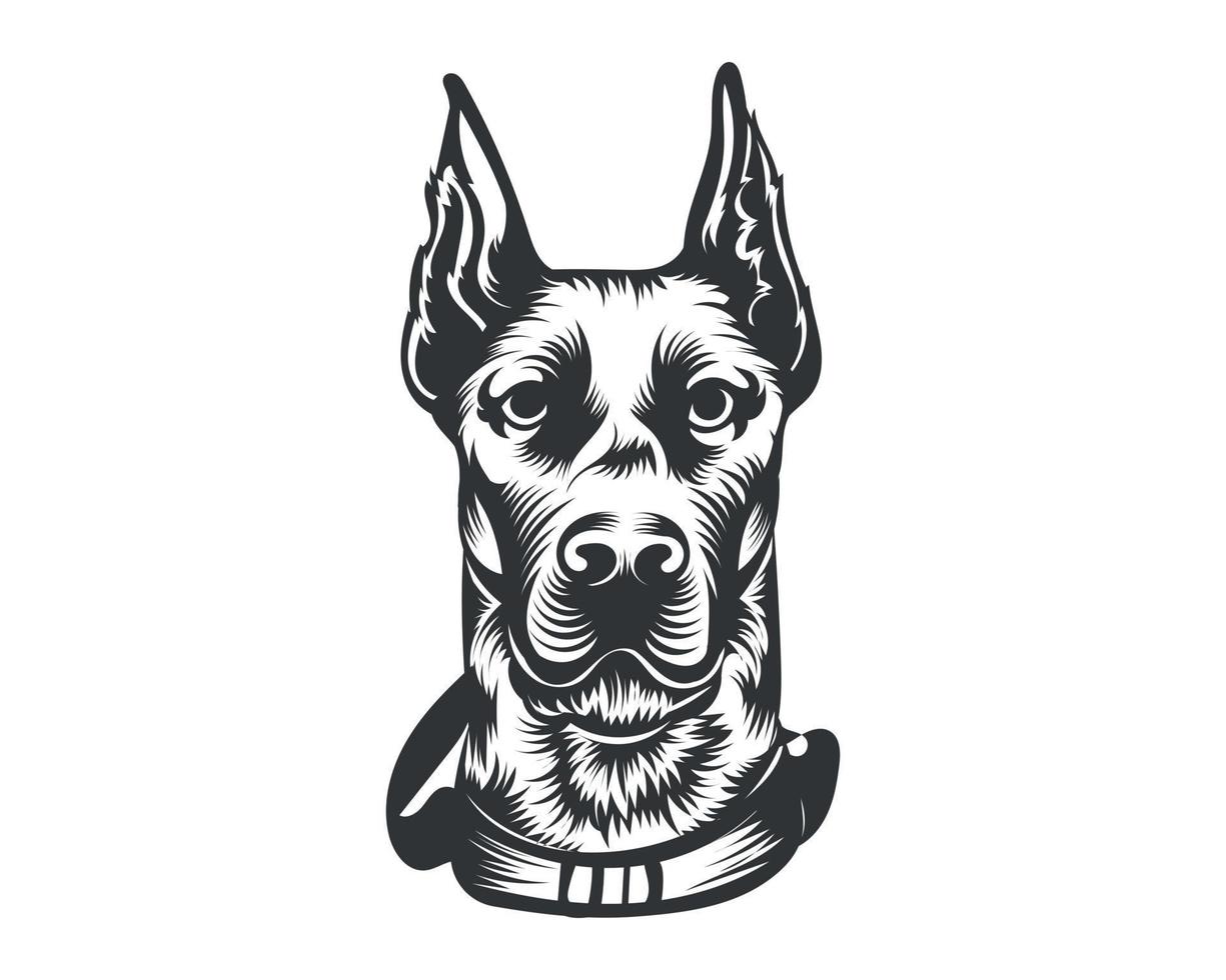 dobermann perro raza vector ilustración blanco antecedentes