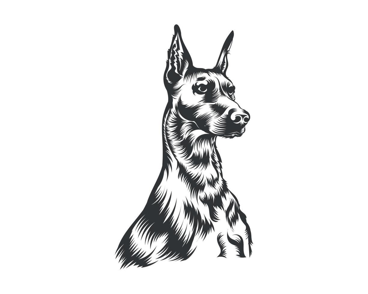 Dobermann Dog Breed Vector Illustration White Background