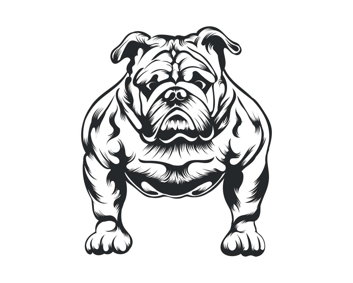 negro y blanco cuerpo constructor buldog vector ilustración, cuerpo constructor perro vector