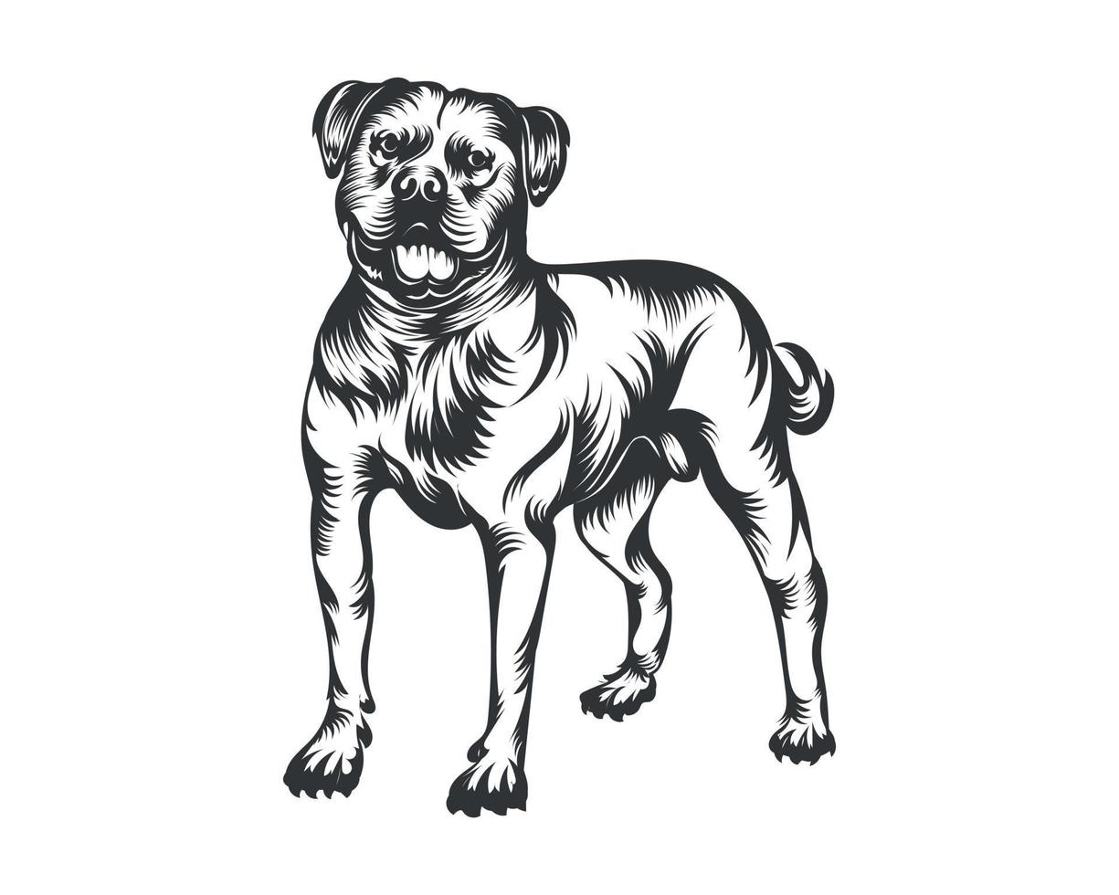 American Bully Dog Vector Illustration, Bully Dog Vector Black on White Background