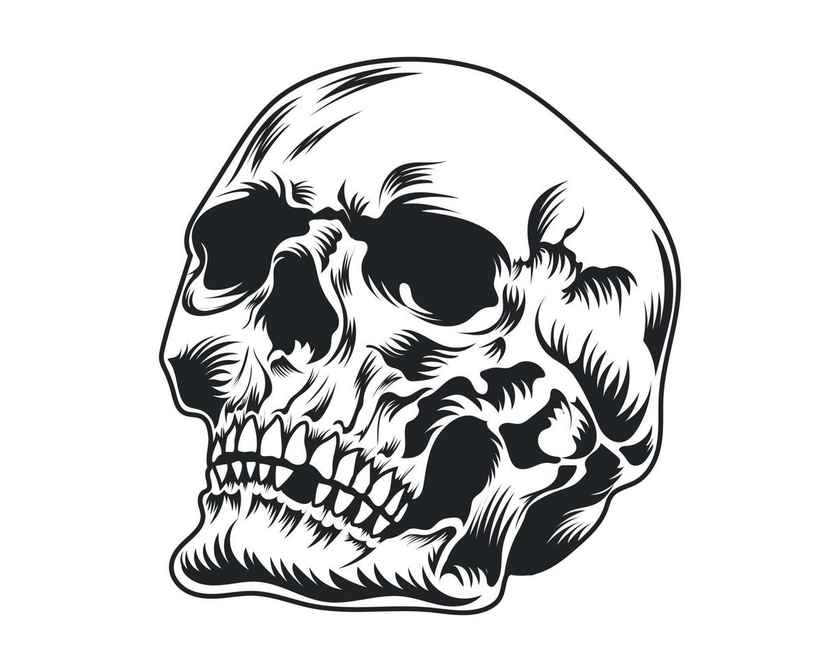 Vintage human skull vector illustration for t-shirt, logo and others