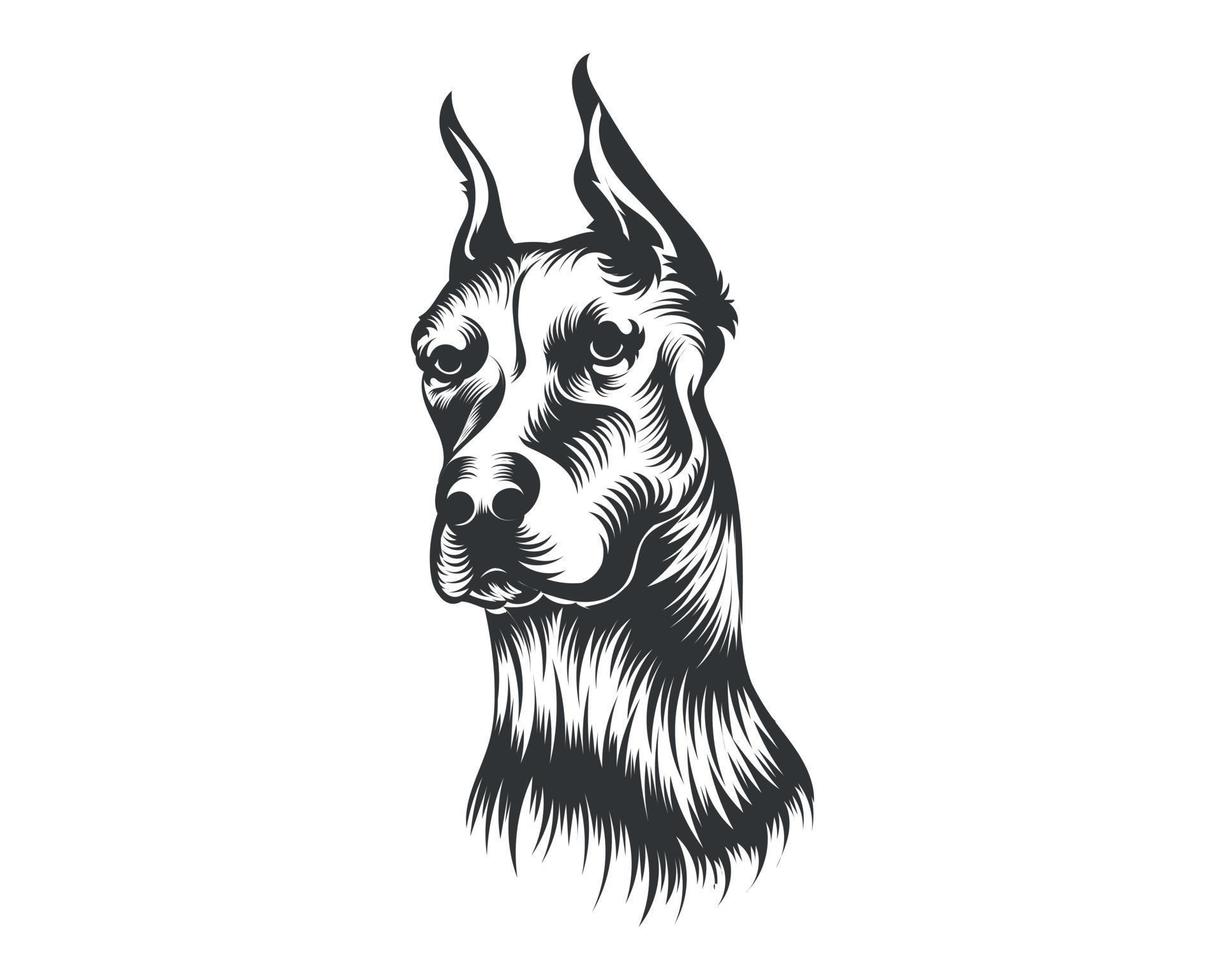 Dobermann Dog Breed Vector Illustration White Background