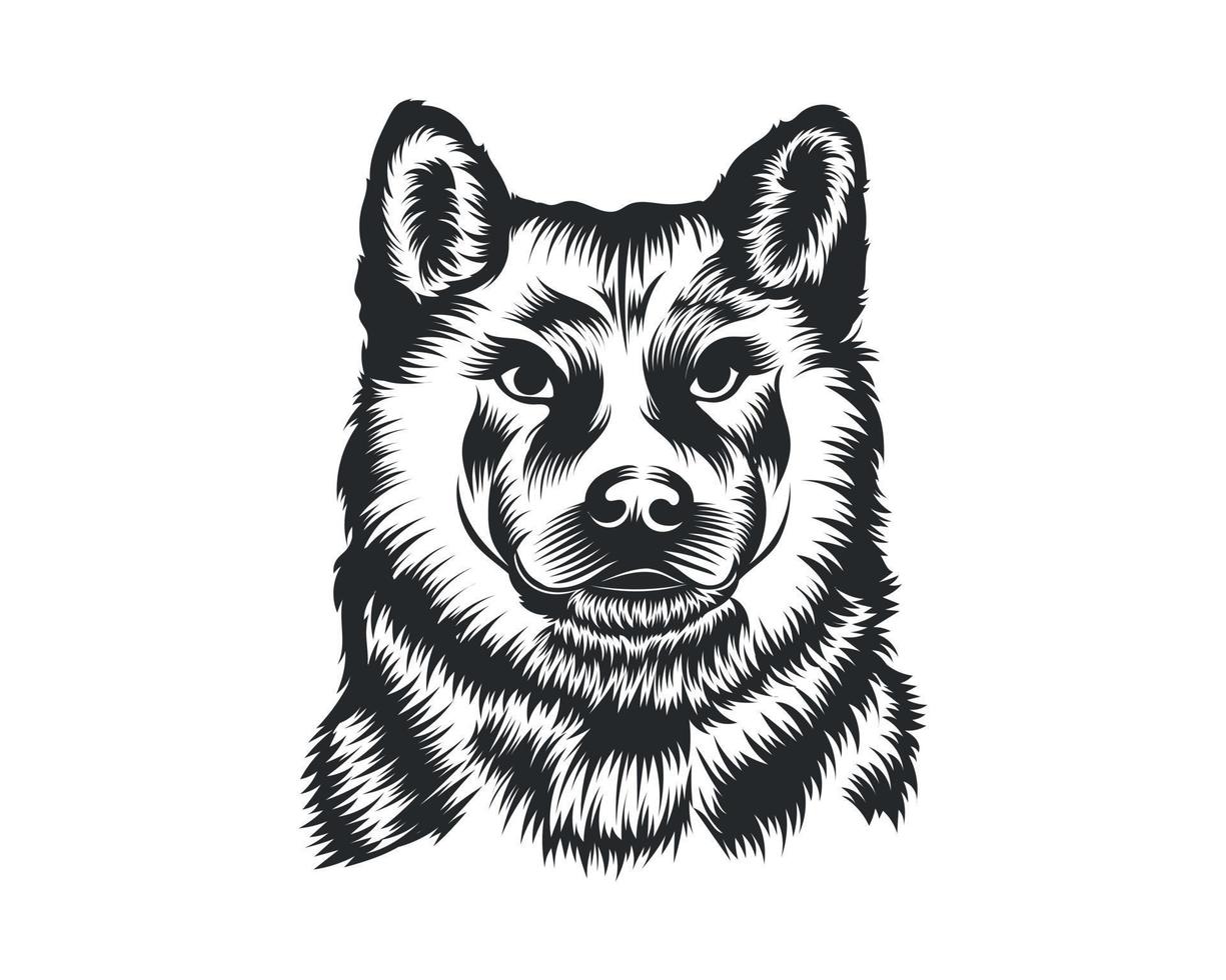 shiba inu perro vector ilustración, shiba inu raza vector en blanco antecedentes para camiseta , logo y otros