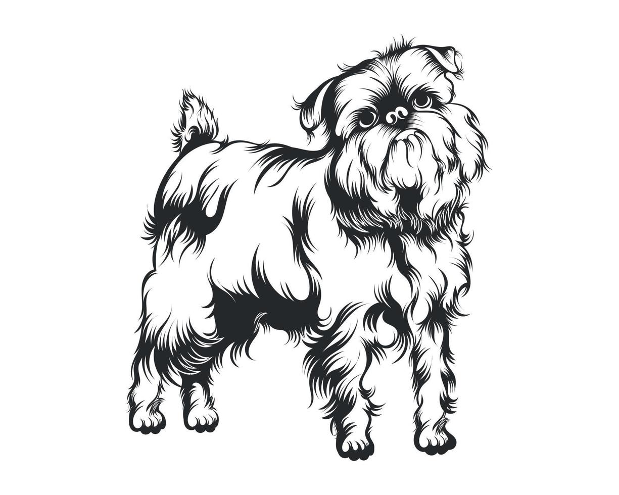 Brussels Griffon Dog Vector Illustration, Brussels Griffon breed Vector on White Background for t-shirt , logo and others