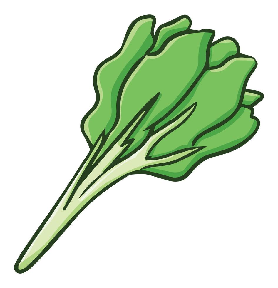 Fresh and healthy mustard for cooking vector