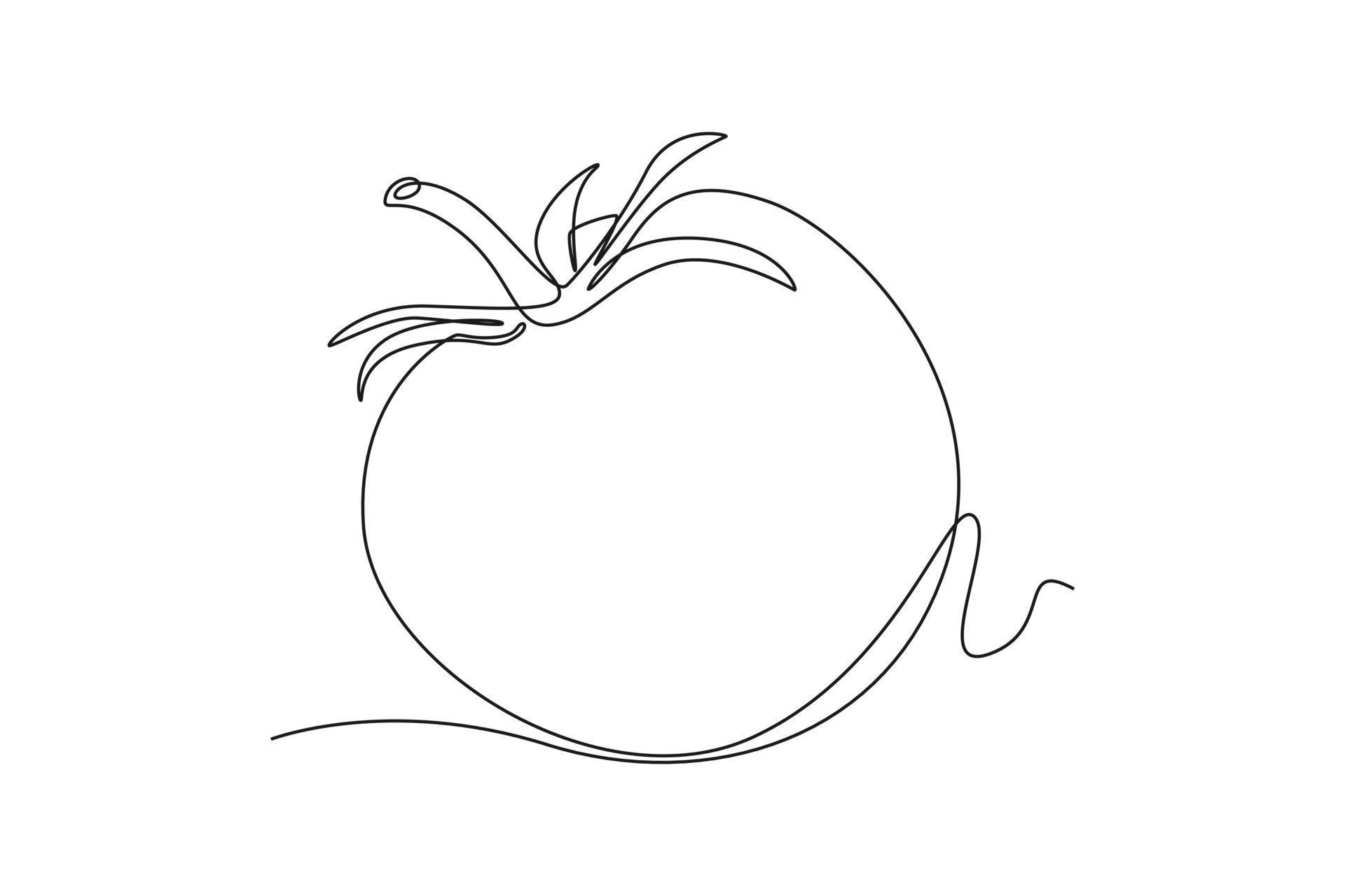 Single one line drawing tomato. Vegetable concept. Continuous line draw