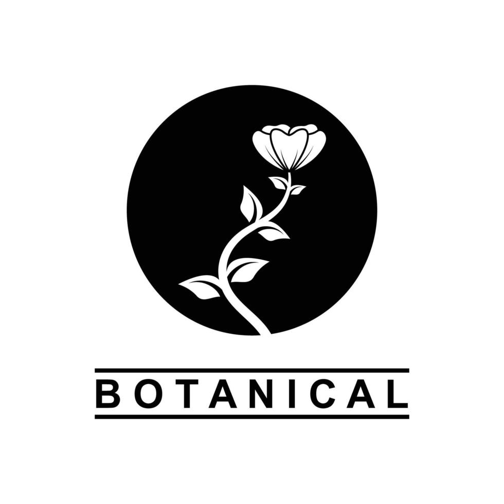 botanical logo illustration for beauty natural organic brand vector