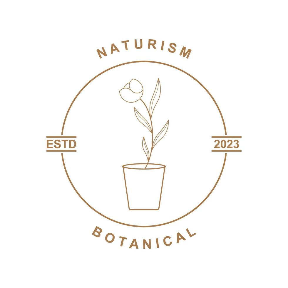 botánico logo ilustración para belleza natural orgánico marca vector