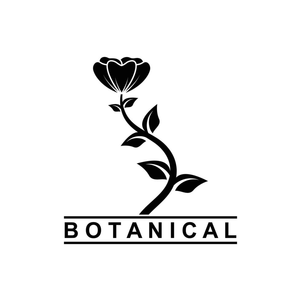 botánico logo ilustración para belleza natural orgánico marca vector