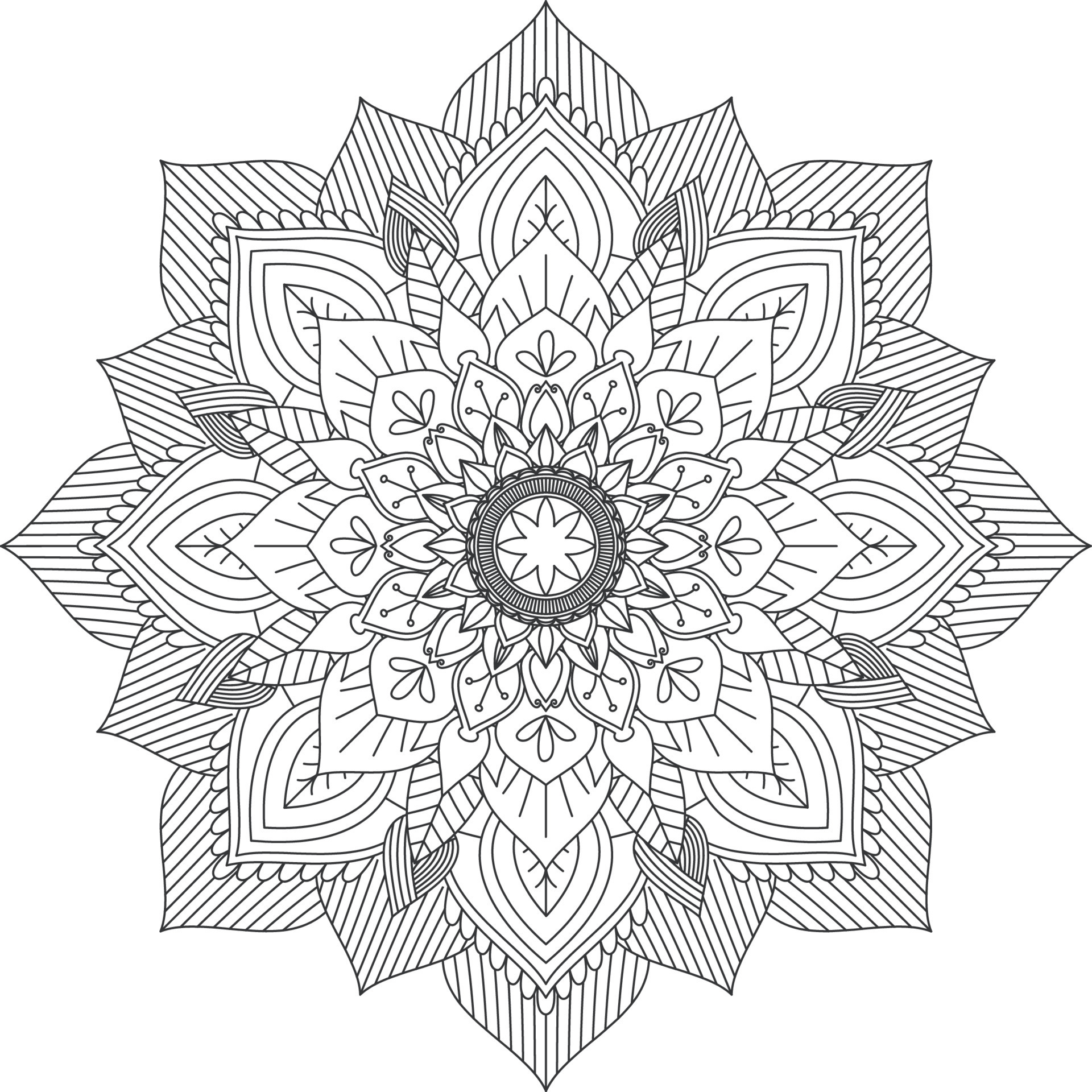 Mandala. Vector. Circular pattern in the form of a mandala. Coloring