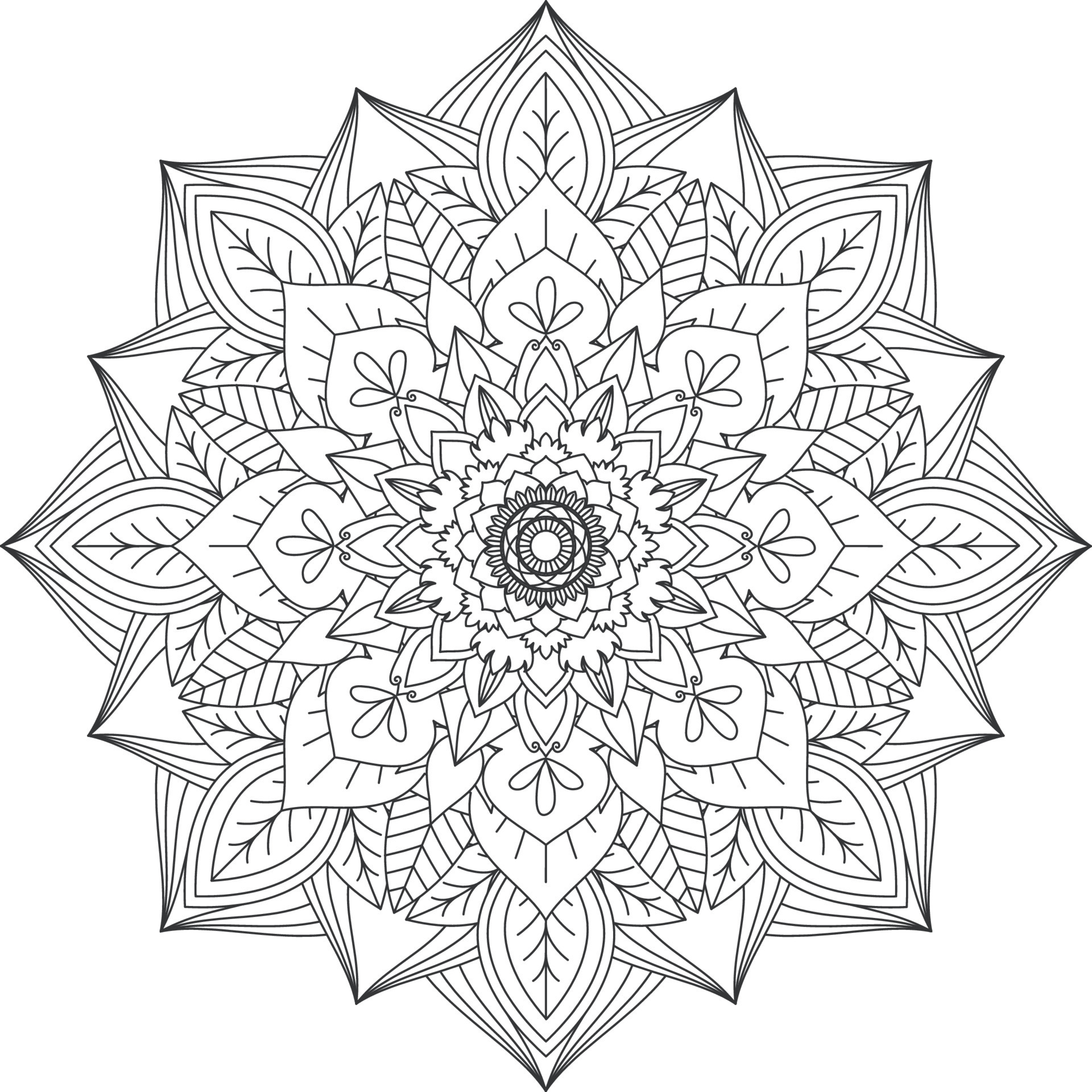 Mandala Vector Circular Pattern In The Form Of A Mandala Coloring Mandala Vector Circular Pattern In The Form Of A Mandala Coloring