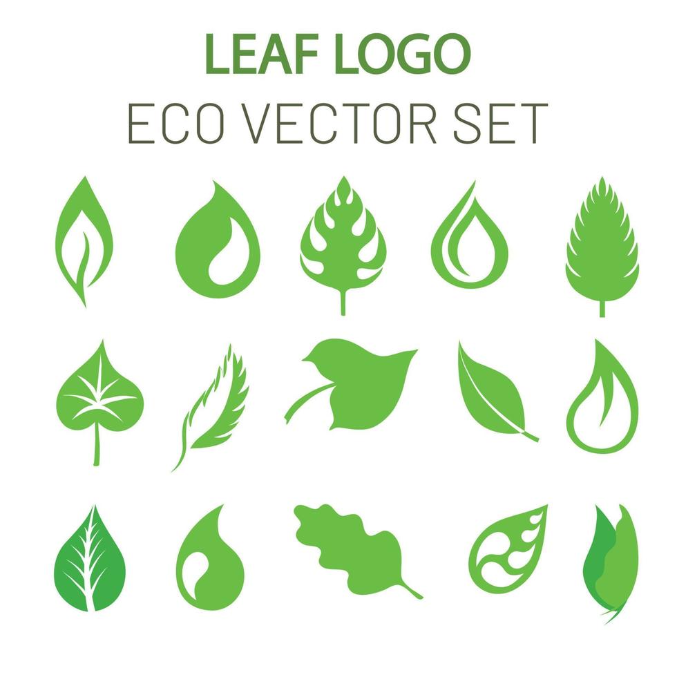 vector set of green leaves on eco theme. Vector collection of stylized leaves and their silhouettes in flat style