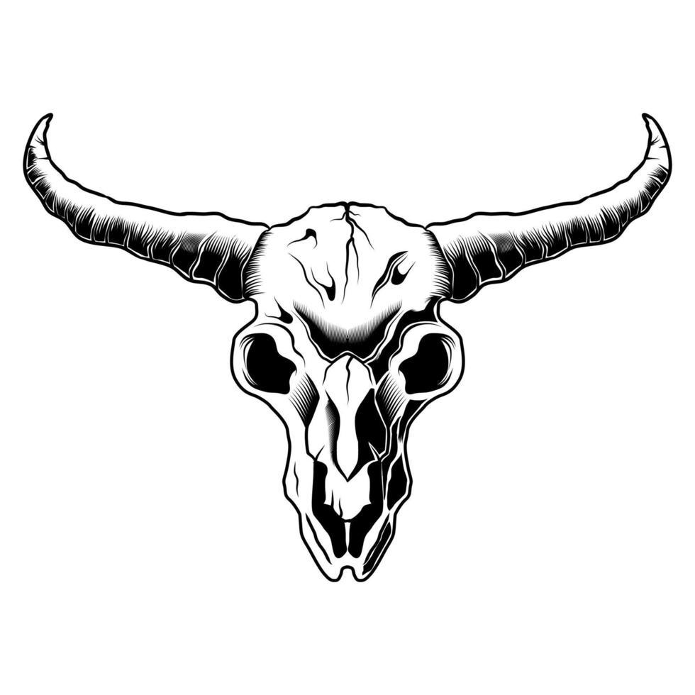 cráneo toro cabeza negro y blanco dibujo Longhorn artístico vector ilustración