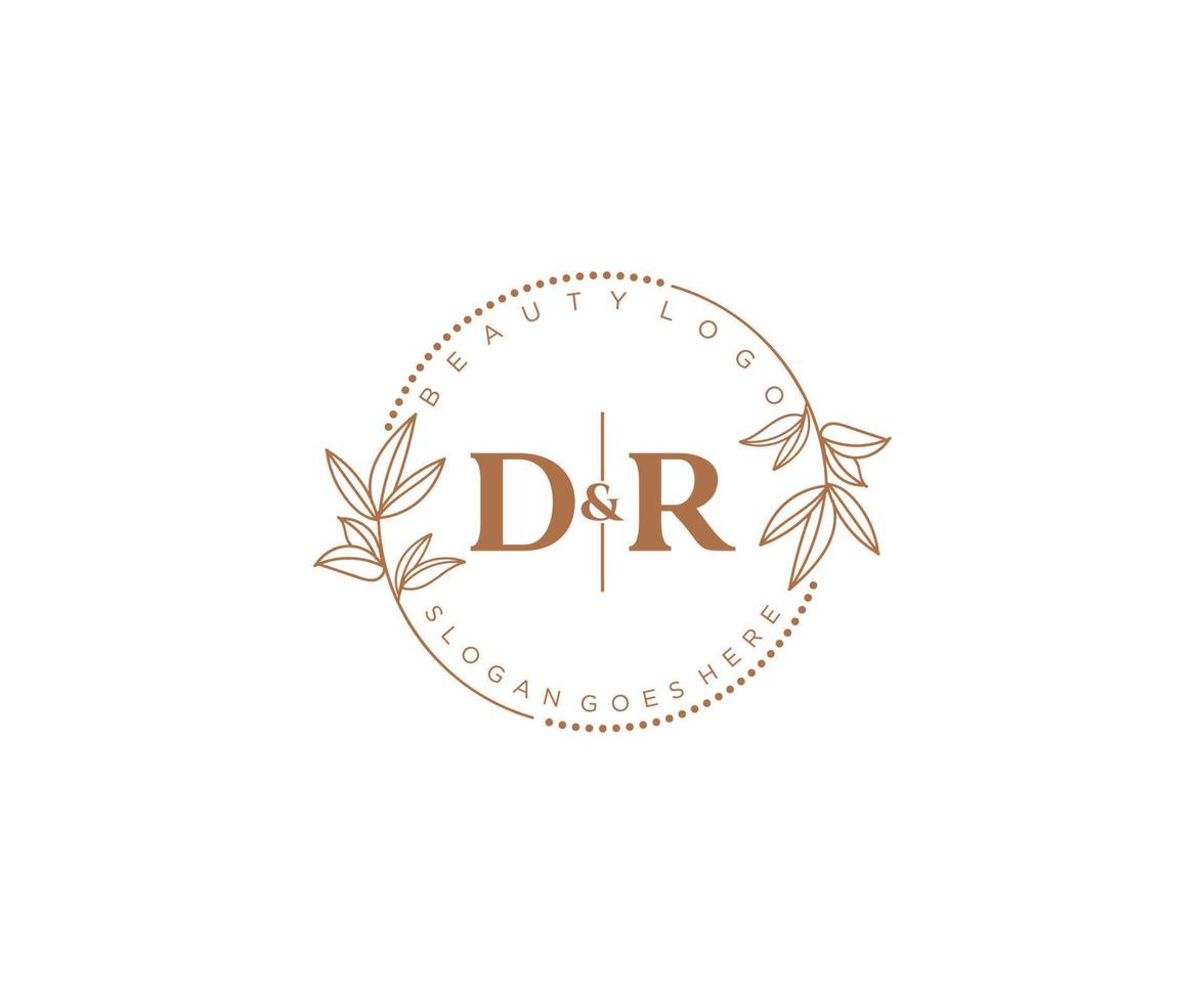 inicial Dr letras hermosa floral femenino editable prefabricado monoline logo adecuado para spa salón piel pelo belleza boutique y cosmético compañía. vector