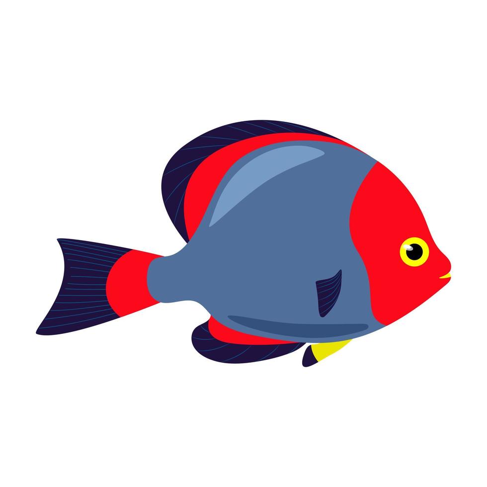 Decorative sea fish with blue red fins. Vector fish isolate in flat style, Sea exotic animals.