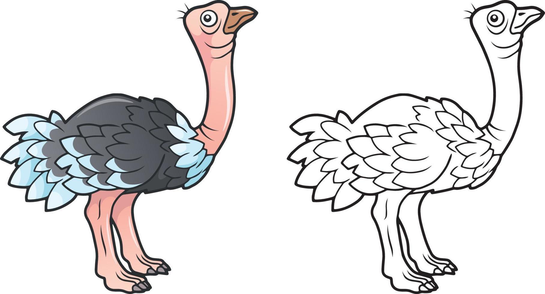 divertido dibujos animados avestruz colorante bookich.eps vector
