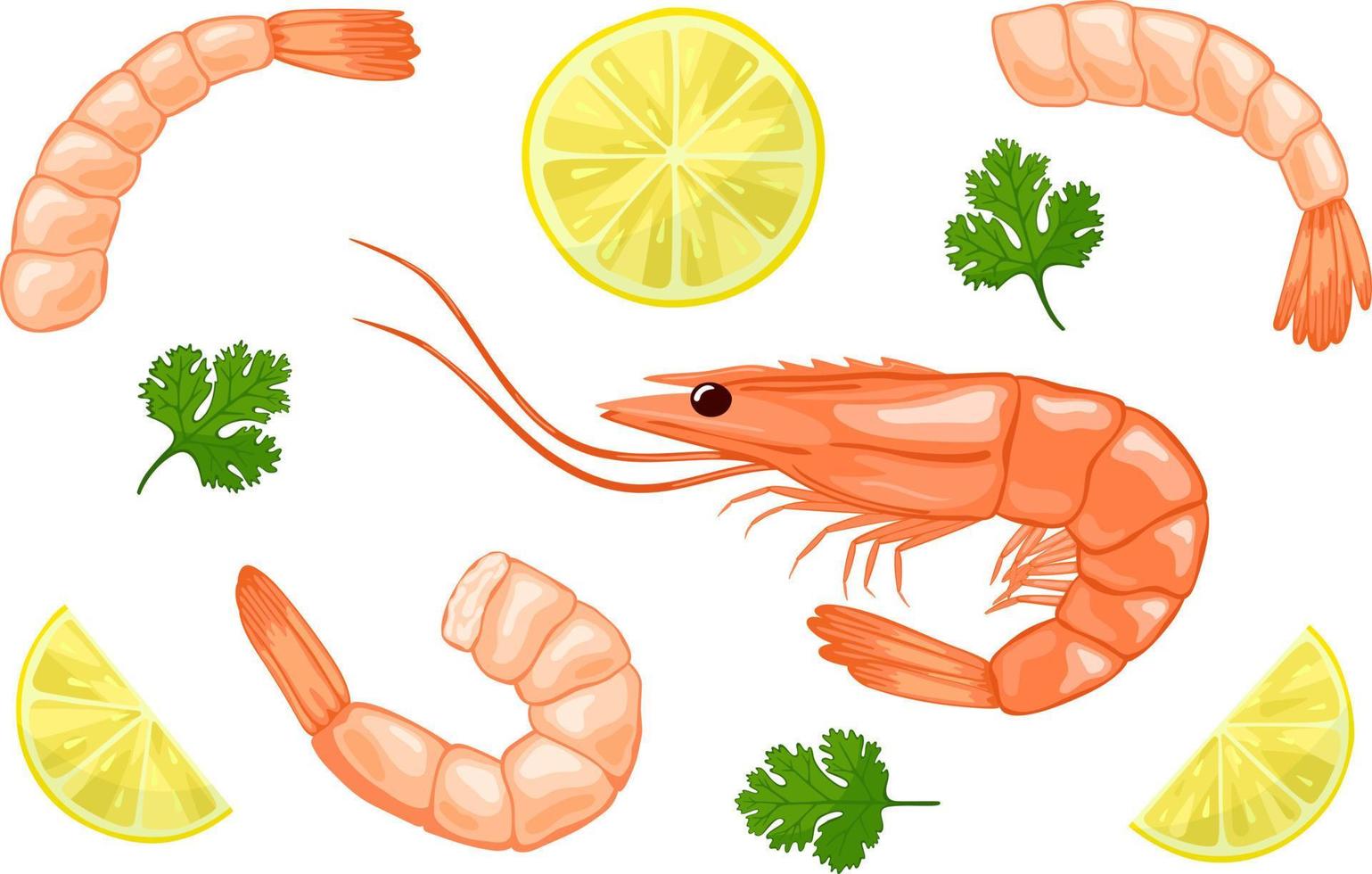 Set of boiled shrimps vector