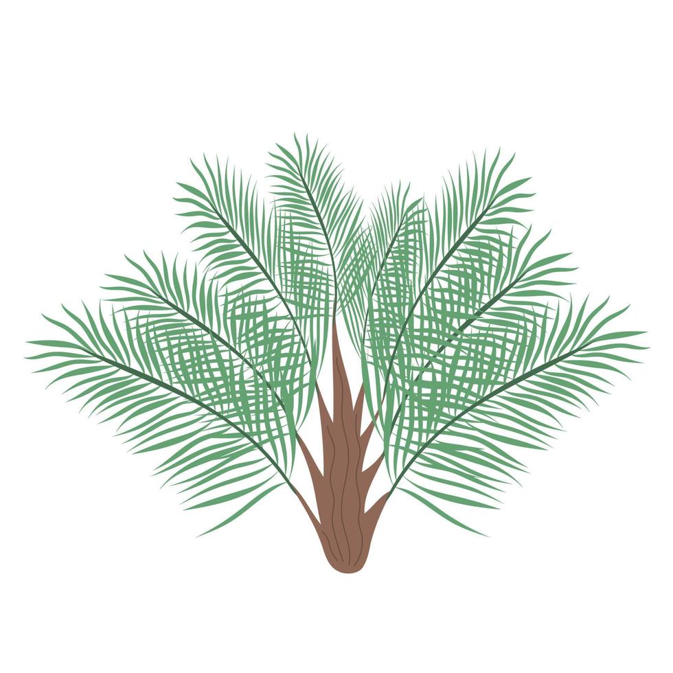 Ravenea or Phoenix palm tree isolated on white background. Beautiful simple vector palm tree