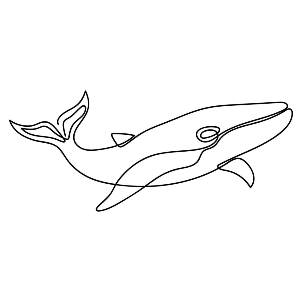 Whale drawn in one line on white. Underwater animal. Mammal of the oceans. Design for logo, tattoo. vector