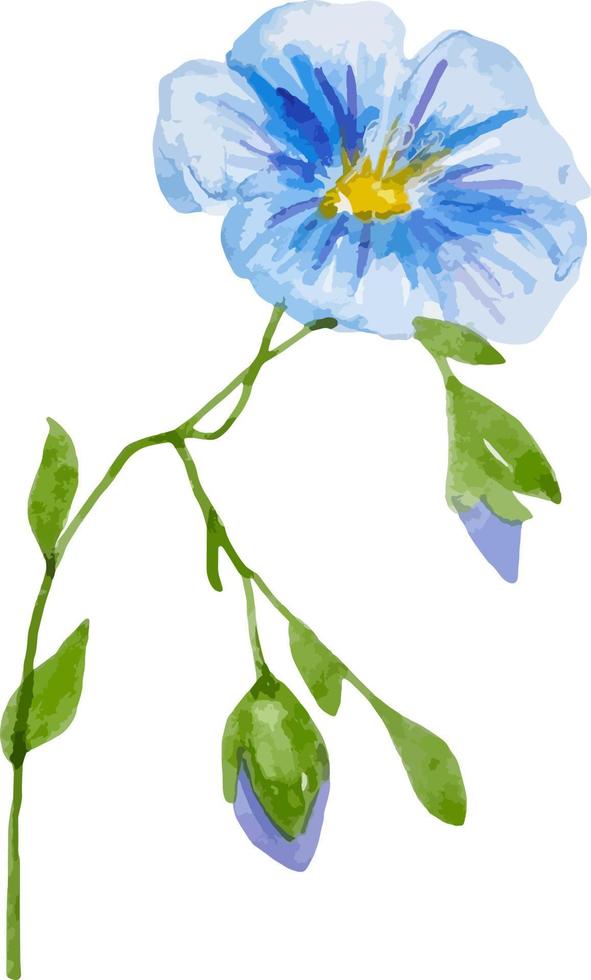 Watercolor blue meadow flower linen clipart isolated vector