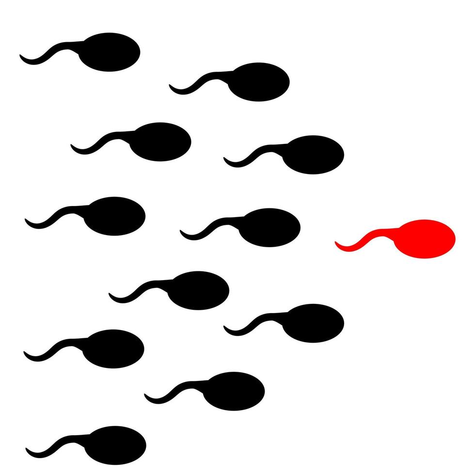 sperm and ovum. sperm. reproduction. pregnancy process vector