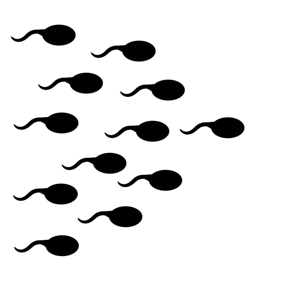 sperm and ovum. sperm. reproduction. pregnancy process vector