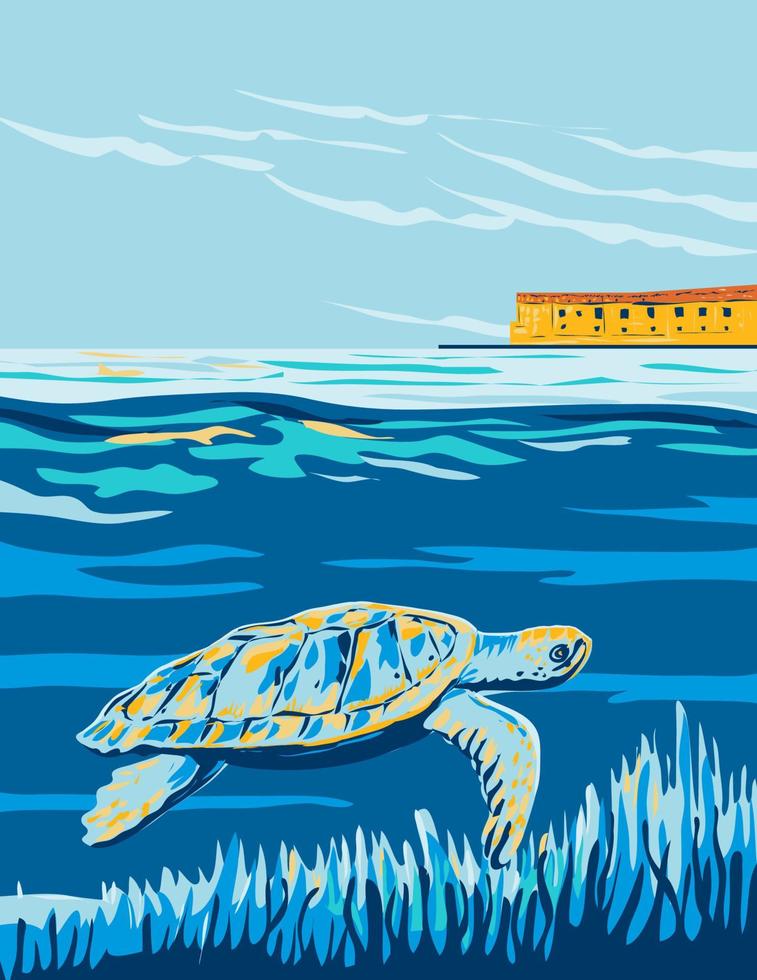 Loggerhead Sea Turtle in Dry Tortugas National Park in Florida WPA Poster Art vector
